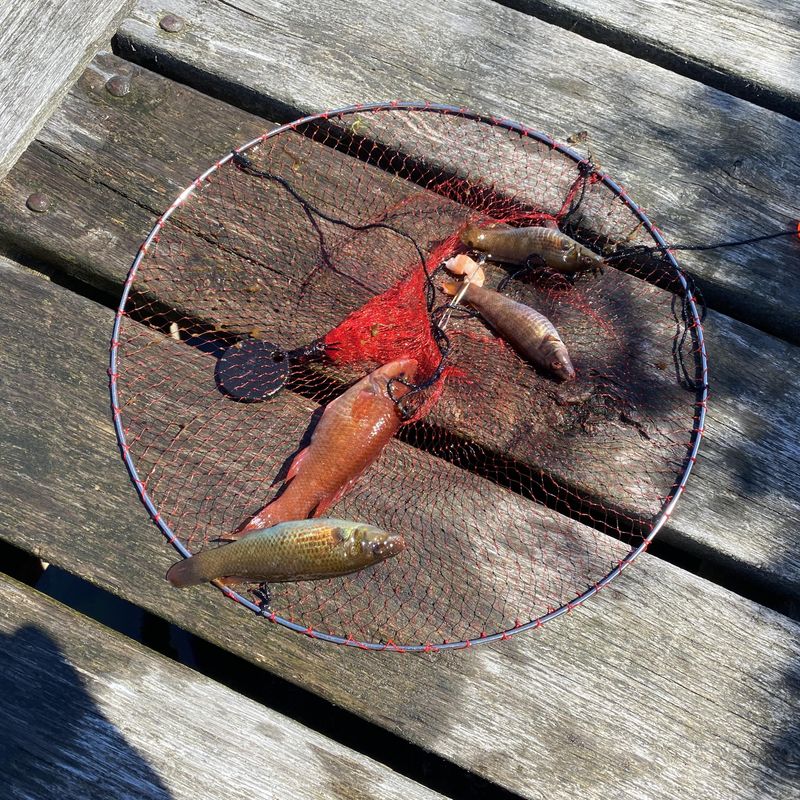  Kalastus- ja rapupyydys lapsille