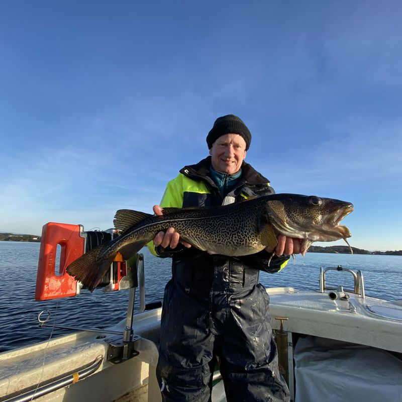 Svejv model 3. Syrefast 316