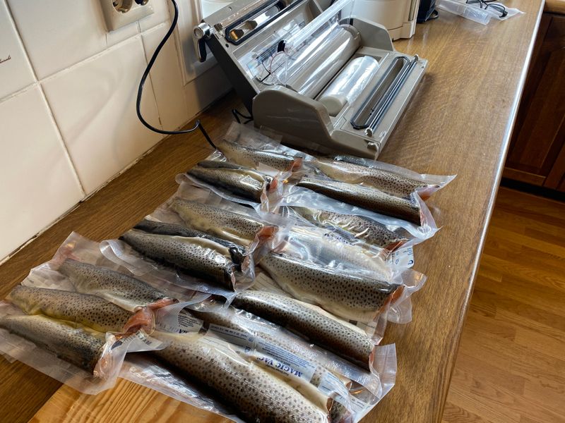 Autosett Small 3 kpl – automaattinen kalastus